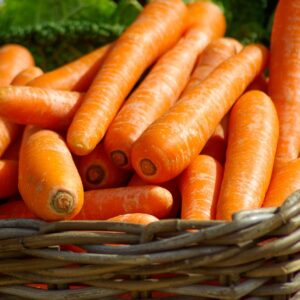 Carrot Seeds - Touchon Heirloom