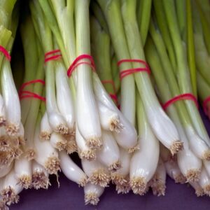 Spring Onion Seeds - White Bunching