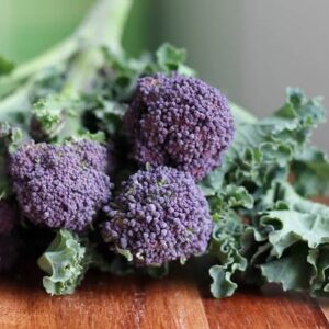 Broccoli Seeds - Purple Sprouting Summer