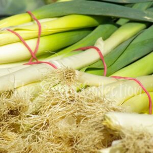 Leek Seeds - Musselburgh