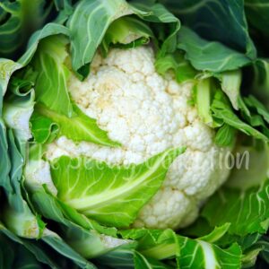 Cauliflower Seeds - Snowball (Heirloom)