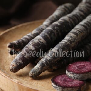 Carrot Seeds - Black Nebula
